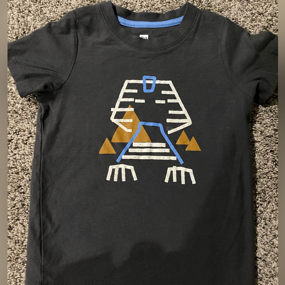 Boys Tea Collection Tee shirt